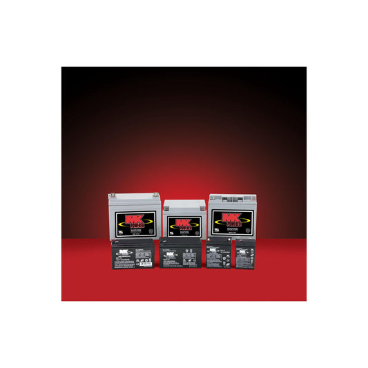 Drive Devilbiss 12V100Ah Battery
